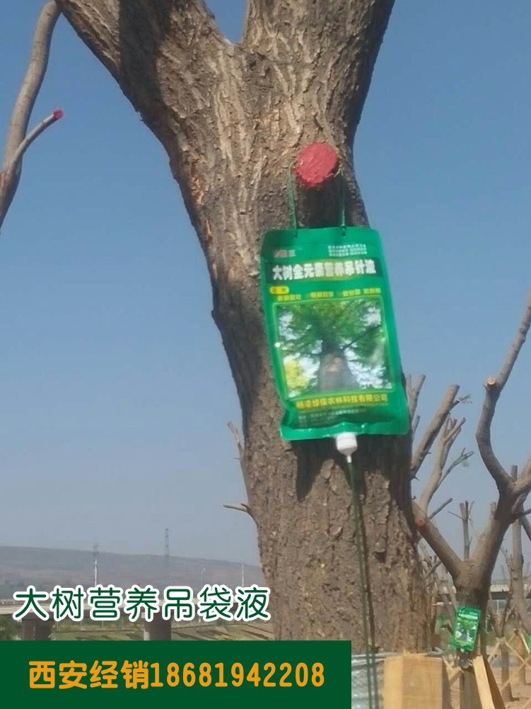 大樹(shù)營(yíng)養吊袋液產(chǎn)品使用圖