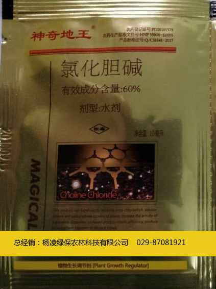 KKooa(chn)-----